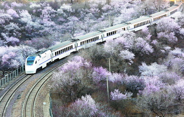 201603280357384277 201603280357384277