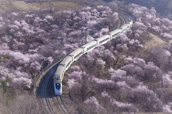 201632984451526 201632984451526