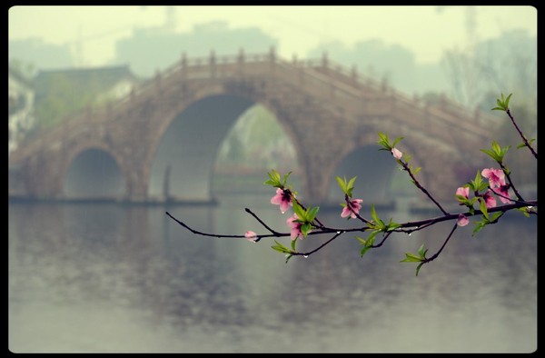 t01b3cbb82140851257 t01b3cbb82140851257