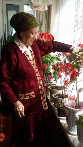 C20160401005-zx10 C20160401005-zx10