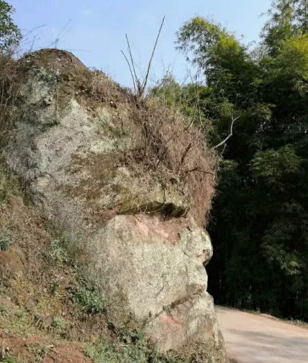 QQ图片20160401143832 QQ图片20160401143832