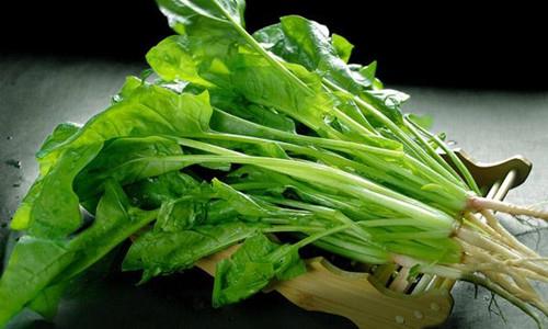 201508181548337869 201508181548337869