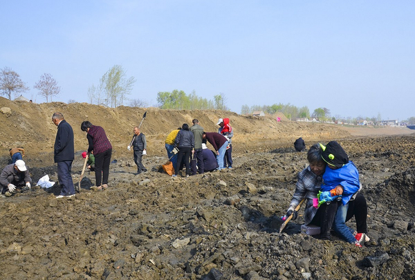 QQ图片20160401155856