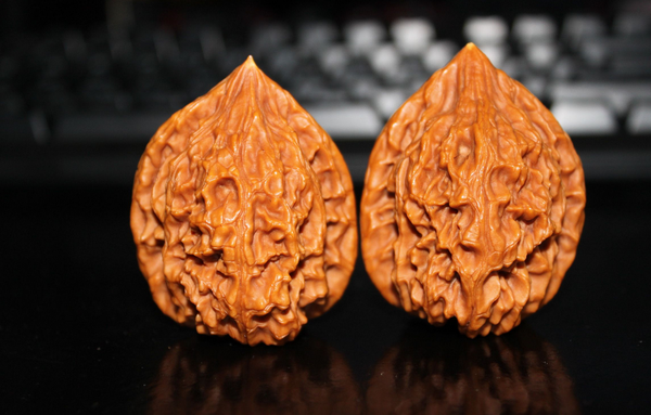 QQ图片20160401161304 QQ图片20160401161304