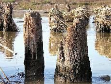 为给手链做串珠 两男古桥锯木桩被抓