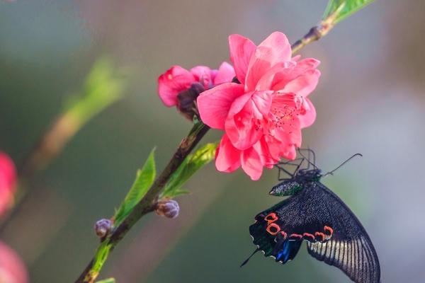 18853717_1457062073402_mthumb 18853717_1457062073402_mthumb