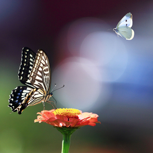 userid161633time20120819005027 userid161633time20120819005027