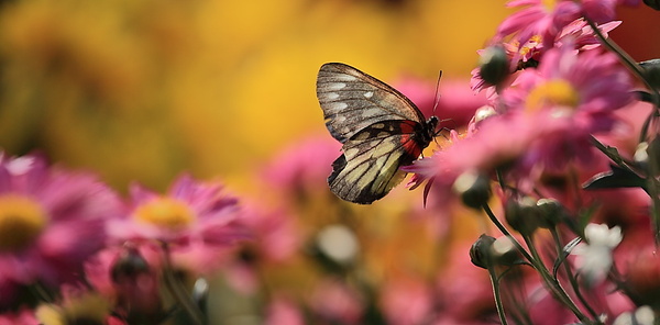 userid222650time20091207124051 userid222650time20091207124051