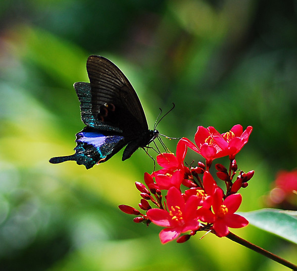 3388958719597594566 3388958719597594566