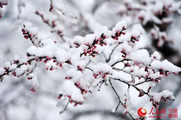 LOCAL201604022200000033554536868 LOCAL201604022200000033554536868