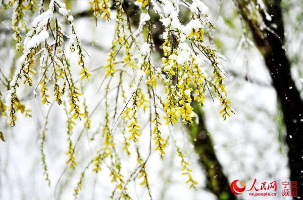 LOCAL201604022200000044647860416 LOCAL201604022200000044647860416