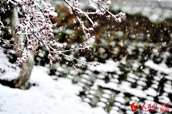 LOCAL201604022200000046693370841 LOCAL201604022200000046693370841