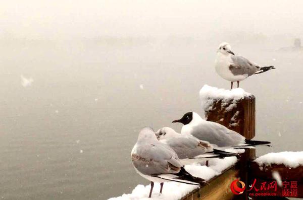 LOCAL201604022200000060282993685 LOCAL201604022200000060282993685