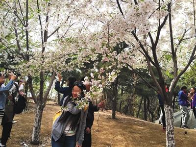 点击进入下一页