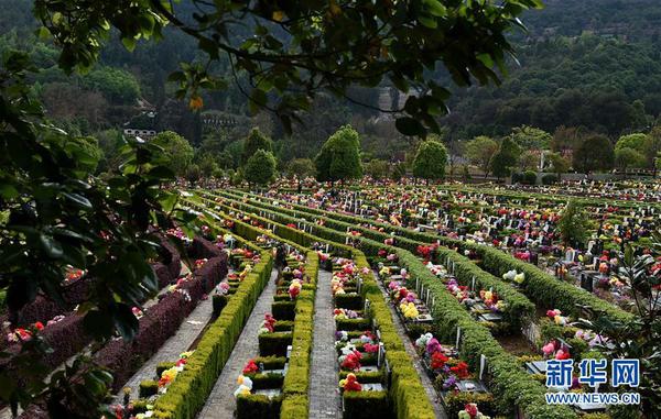 12180966368255012585