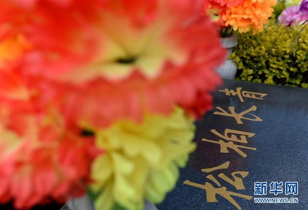 14882609518873343182