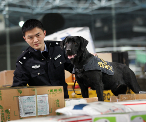 0016ec8c035c1333824501 0016ec8c035c1333824501