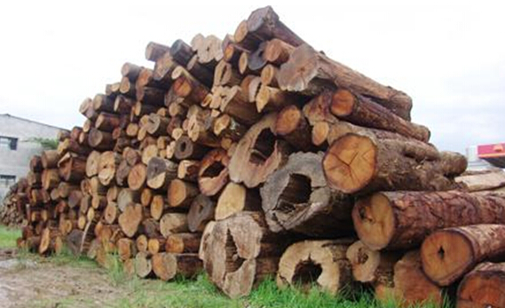 0b0cbf63-bab5-4387-88b6-14d4201753c1 0b0cbf63-bab5-4387-88b6-14d4201753c1