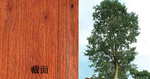 005DKNfRgy6JpiPhFuT47&690 005DKNfRgy6JpiPhFuT47&690