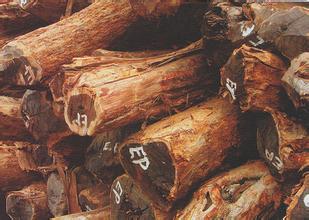 u=3988015460,961496900&fm=21&gp=0 u=3988015460,961496900&fm=21&gp=0