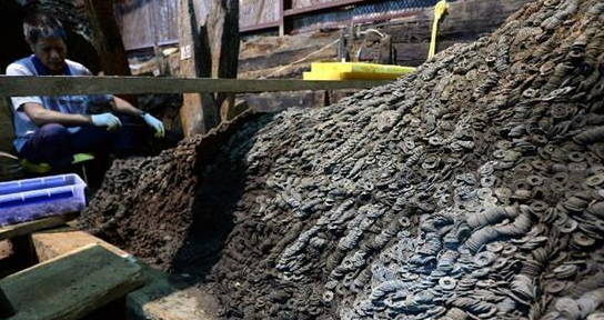 QQ图片20160405172016 QQ图片20160405172016