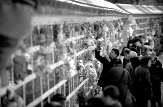 90771459134715003 90771459134715003