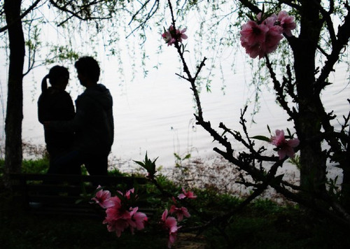 6597641512703533565 6597641512703533565