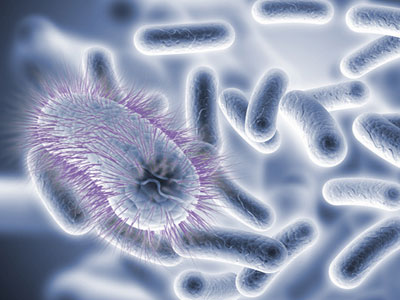 14592909863fcb0b73baabef42 14592909863fcb0b73baabef42