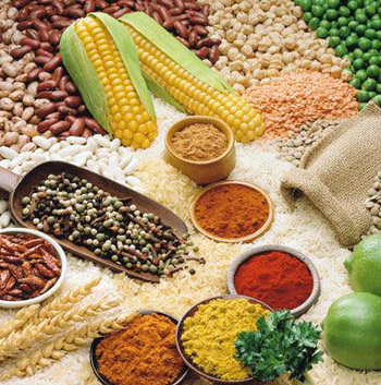 MAIN201604051411565271007903266 MAIN201604051411565271007903266