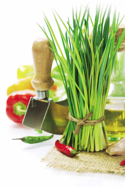 S12B0405001_b S12B0405001_b