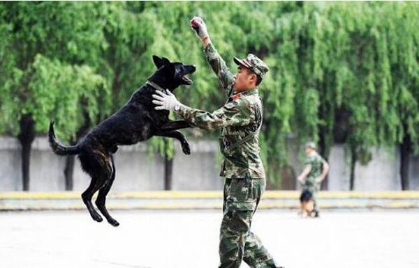 QQ截图20160407155302