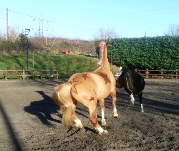 2016461459924548088_0 2016461459924548088_0