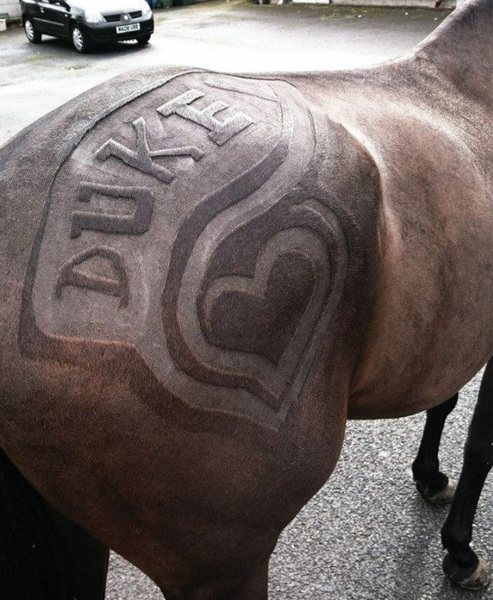 W020160407251415412636 W020160407251415412636