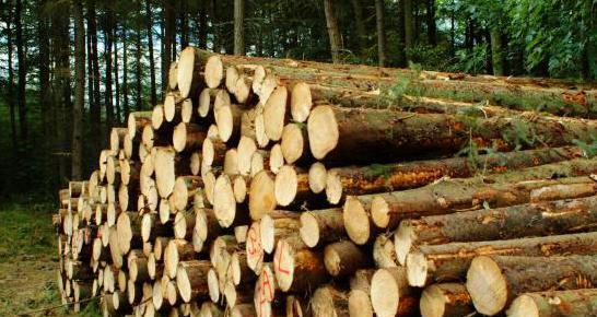 20150731041642737 20150731041642737