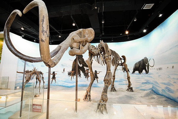 6597681095121641123 6597681095121641123