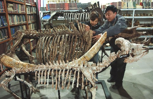 xin_340104101543484215665 xin_340104101543484215665