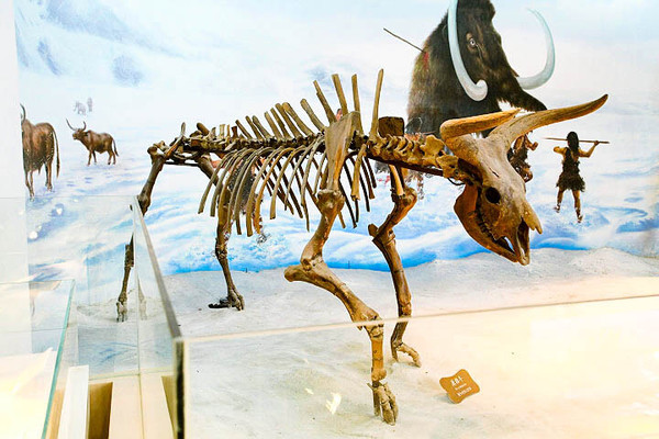 6597378729425388941 6597378729425388941