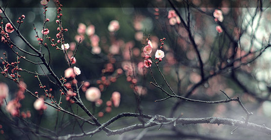 QQ图片20160408142710 QQ图片20160408142710