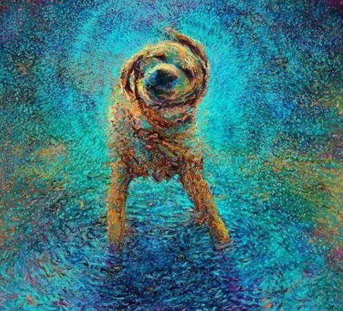 QQ图片20160408151039 QQ图片20160408151039