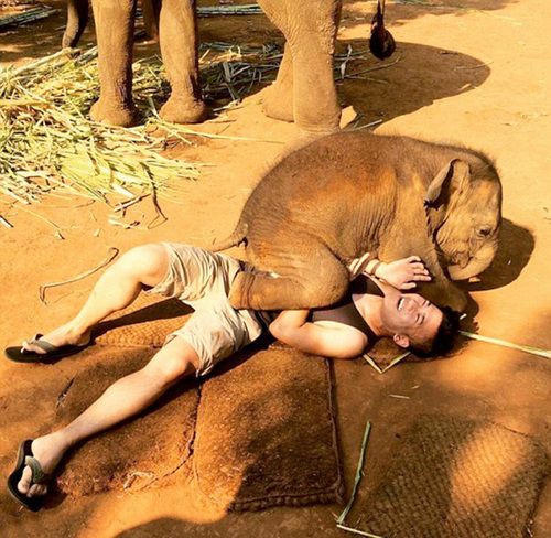 据悉，这头热情的小象名叫Nampuu，在泰语里是喷泉的意思。从游客拍摄到的照片中可以看到，小象把腿放在了游客身上，并且用鼻子环绕在游客的头部，游客们既开心又害怕，引来阵阵欢愉的尖叫声。小象在和游客们玩耍互动的时候，象妈妈一直在旁边监督着。