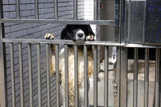 从“宿舍”门向外探头的Jess。