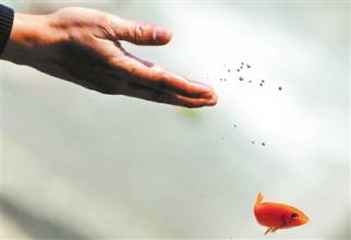 u=2923420440,3273569281&fm=21&gp=0 u=2923420440,3273569281&fm=21&gp=0