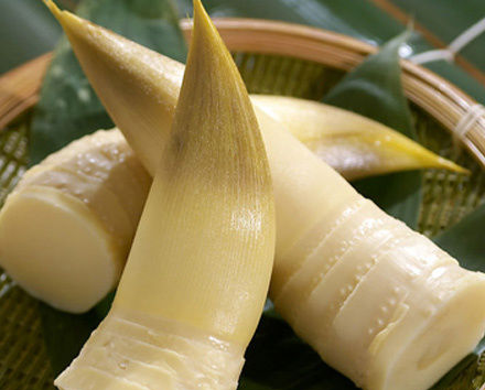 春笋怎么吃最好 脾胃弱、肾炎病人慎吃