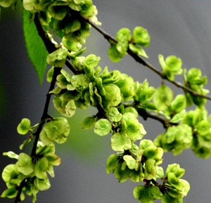 09bb4f3d683996a33c6d9759 09bb4f3d683996a33c6d9759