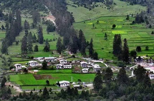 501e66df848a44d9b4261391b8e71e36 501e66df848a44d9b4261391b8e71e36