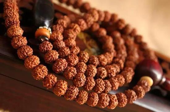 金刚菩提 金刚菩提