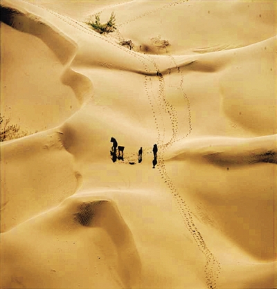 rmrbhwb2016041212p25_b rmrbhwb2016041212p25_b