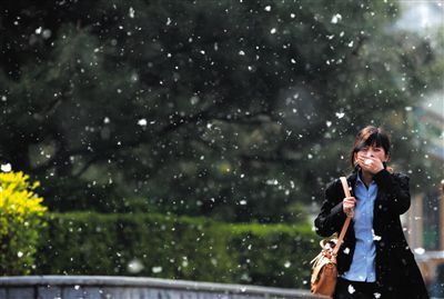 0713A538797E0C68A20C3D0B36F2ABF8 0713A538797E0C68A20C3D0B36F2ABF8