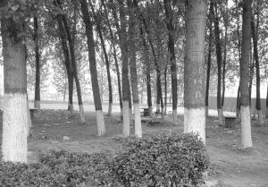 游客拒支付“天价烧烤费”被商贩抡锹拍倒(图)