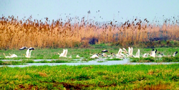 彩C2016-04-14zx501_P_1_47_655_1382_1327 彩C2016-04-14zx501_P_1_47_655_1382_1327